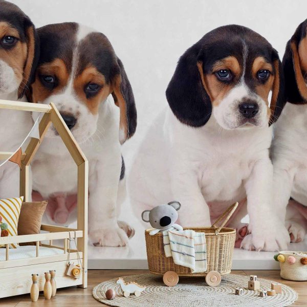 Wall Mural - Sad Puppies