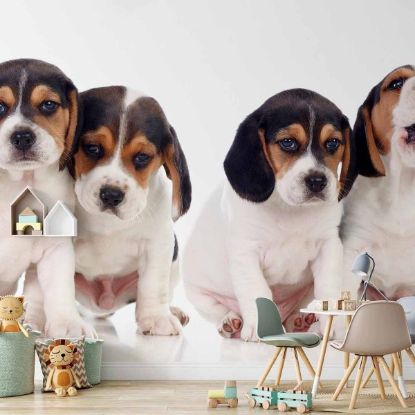 Wall Mural - Sad Puppies