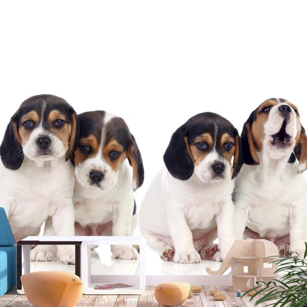 Wall Mural - Sad Puppies