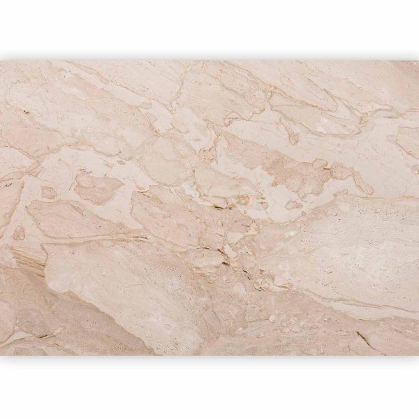 Wall Mural - Sandstorm