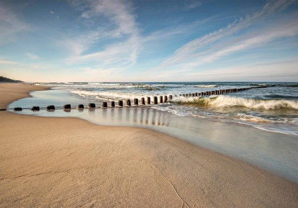 Wall Mural - Sea Breeze