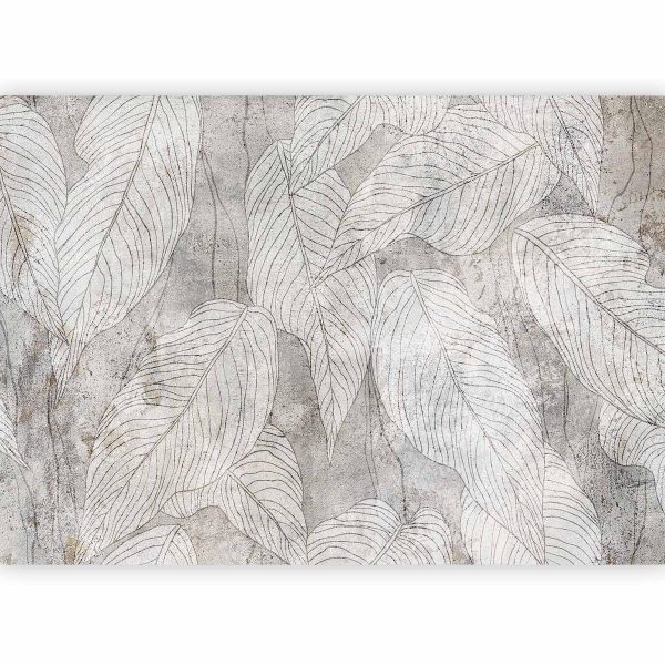 Wall Mural - Shadow Full of Sough