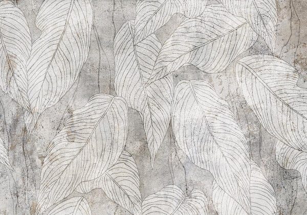 Wall Mural - Shadow Full of Sough