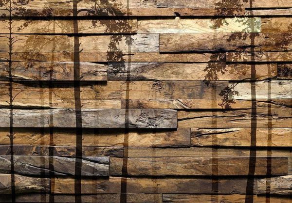 Wall Mural - Shadow of Trees