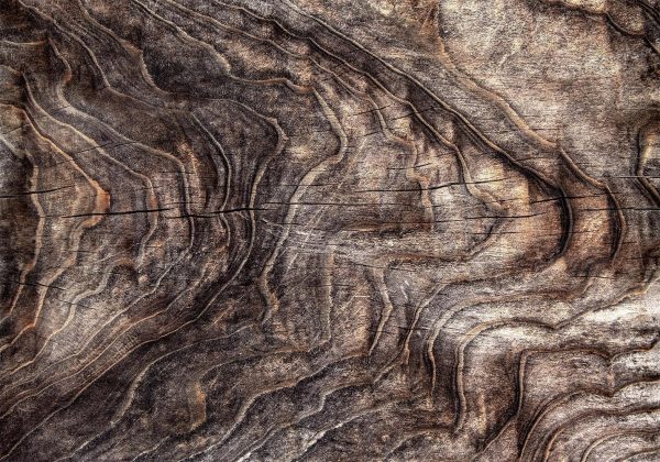 Wall Mural Wallpaper - Signs of the times - an abstract background with the wrinkled bark of an old tree - Image 3