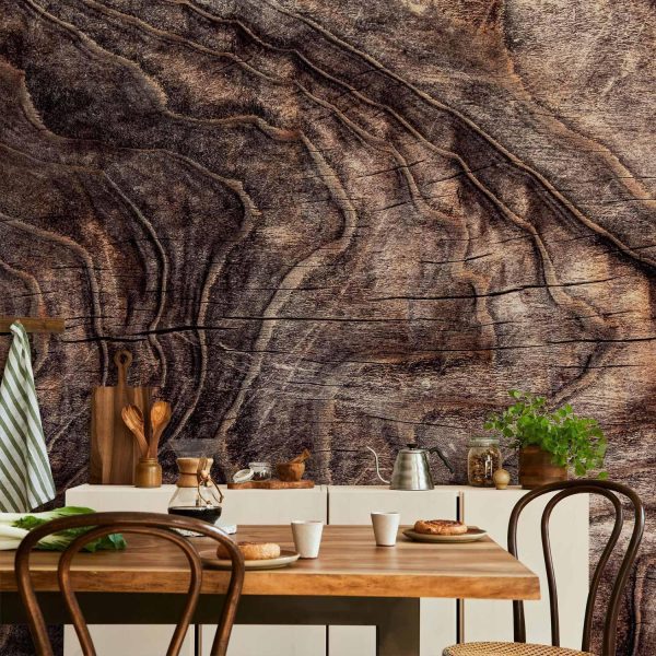 Wall Mural Wallpaper - Signs of the times - an abstract background with the wrinkled bark of an old tree - Image 2