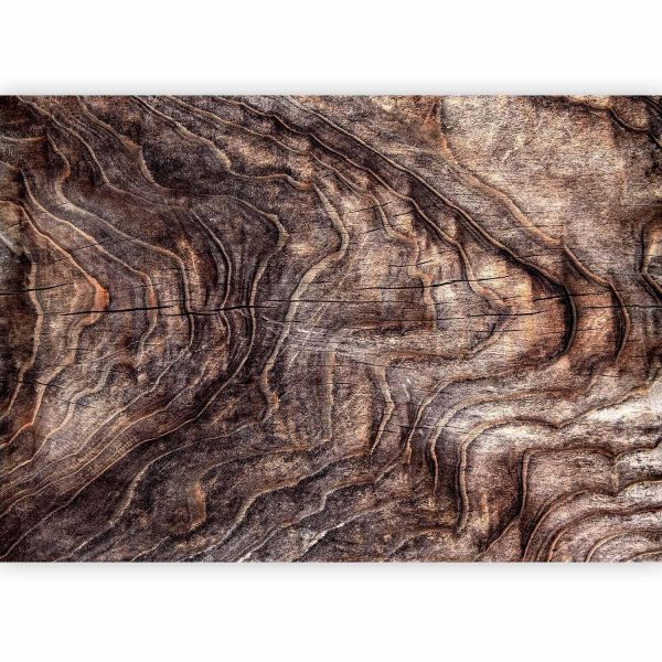 Wall Mural Wallpaper - Signs of the times - an abstract background with the wrinkled bark of an old tree - Image 5
