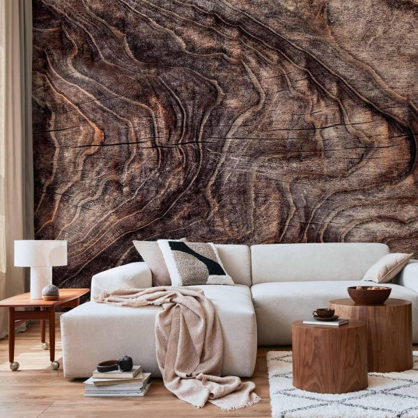 Wall Mural Wallpaper - Signs of the times - an abstract background with the wrinkled bark of an old tree