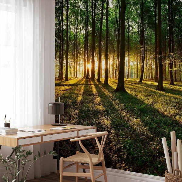 Wall Mural - Spring: Morning in the Forest