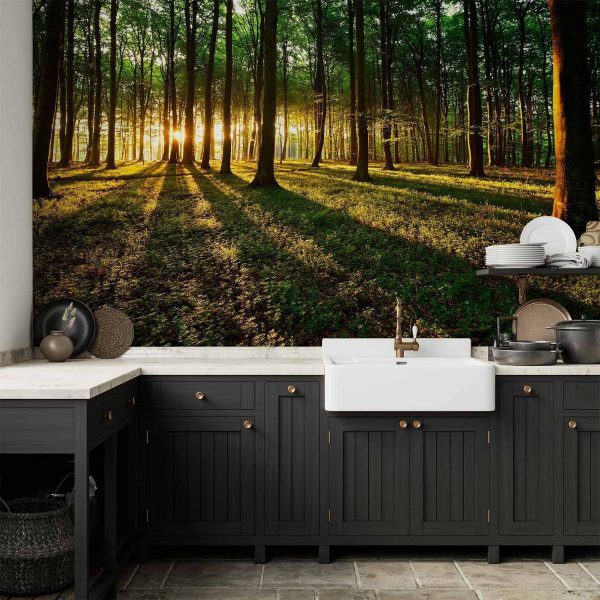 Wall Mural - Spring: Morning in the Forest