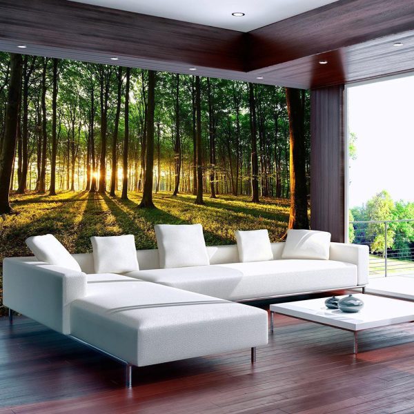 Wall Mural - Spring: Morning in the Forest