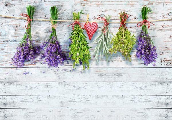 Wall Mural - Spring inspirations