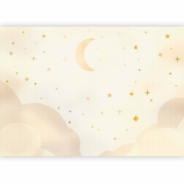 Wall Mural Wallpaper - Starry Night - Image 5