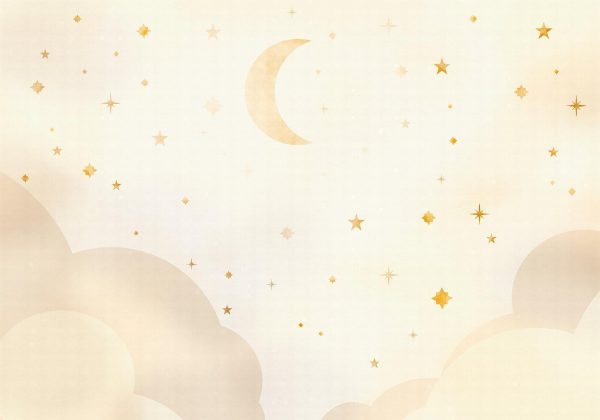 Wall Mural Wallpaper - Starry Night - Image 6