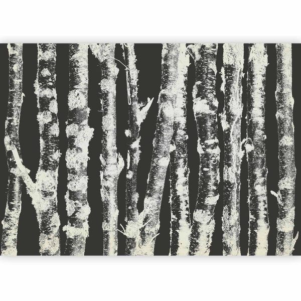 Wall Mural - Stately Birches - Second Variant