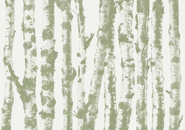 Wall Mural - Stately Birches - Third Variant
