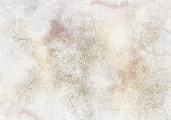Wall Mural Wallpaper - Summer memory - abstract background with shadow of dried leaves - Image 6