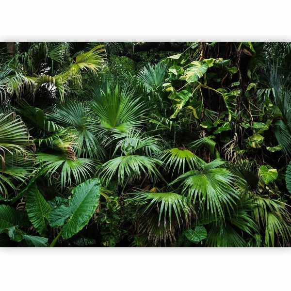 Wall Mural - Sunny Jungle