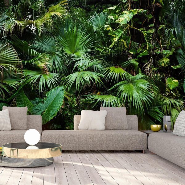 Wall Mural - Sunny Jungle