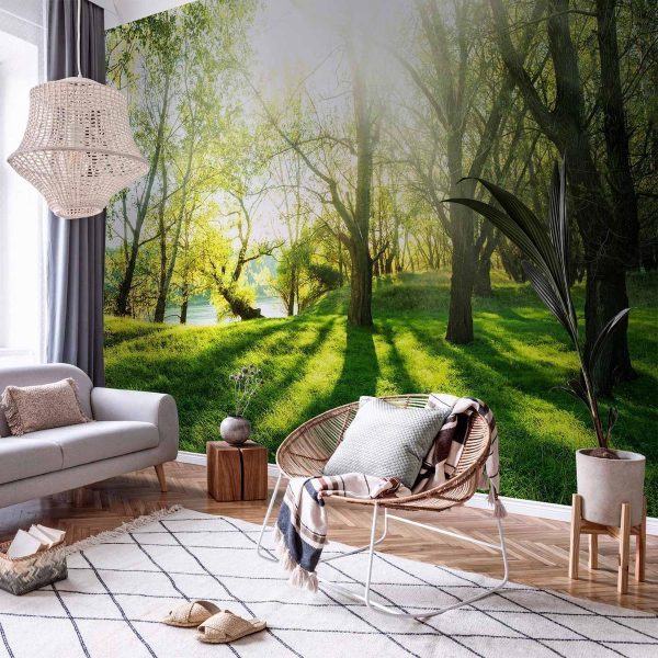 Wall Mural - Sunny May Day