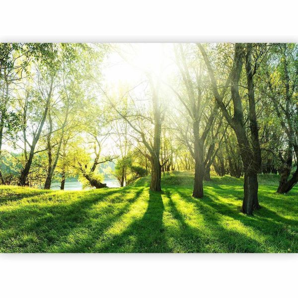 Wall Mural - Sunny May Day