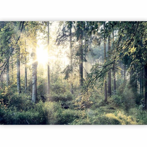 Wall Mural - Tales of a Forest
