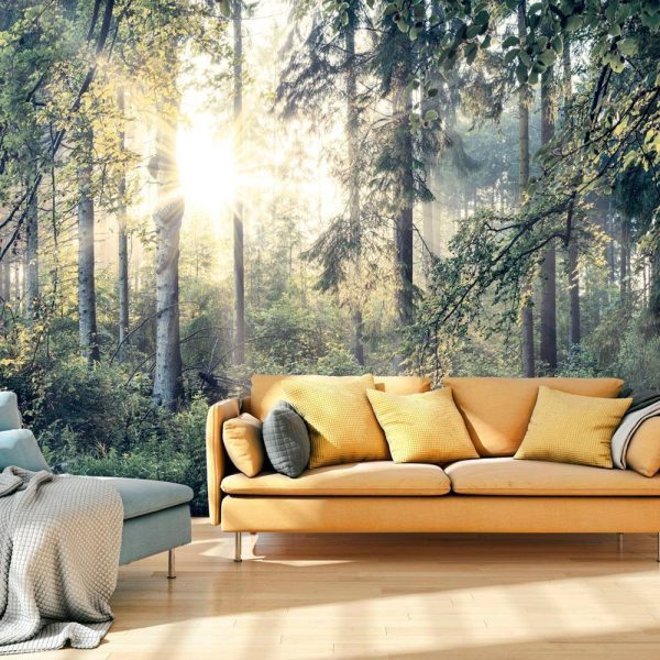 Wall Mural - Tales of a Forest