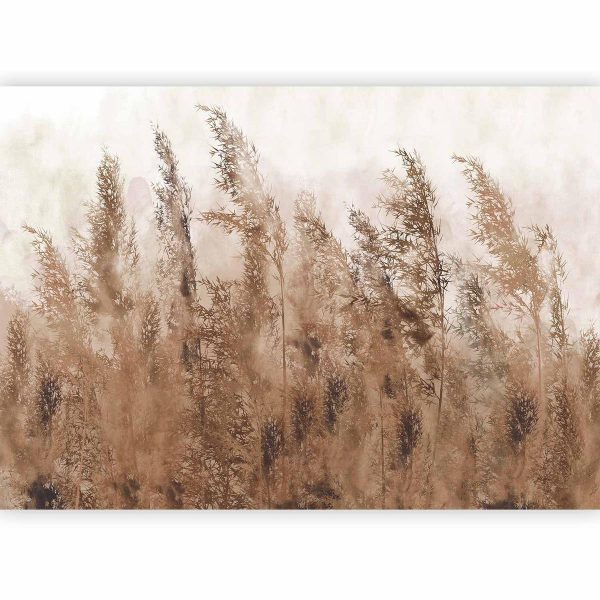 Wall Mural - Tall Grasses - Brown