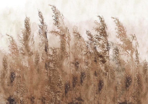 Wall Mural - Tall Grasses - Brown