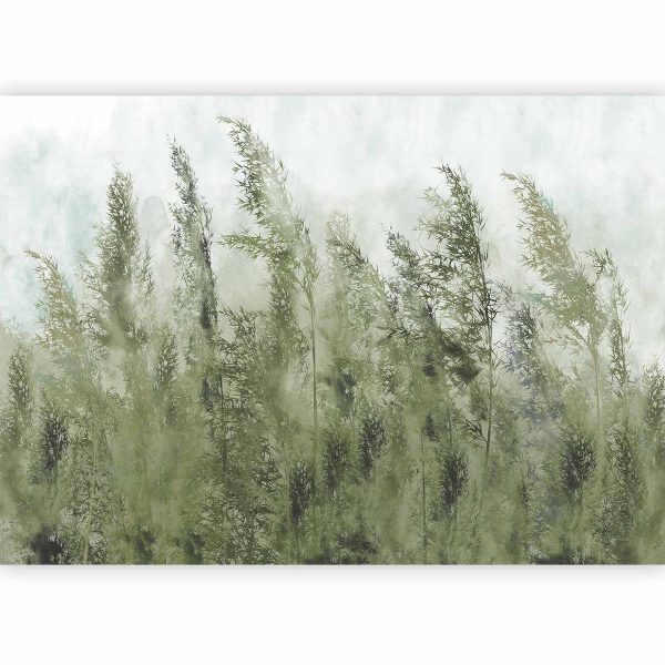 Wall Mural - Tall Grasses - Green