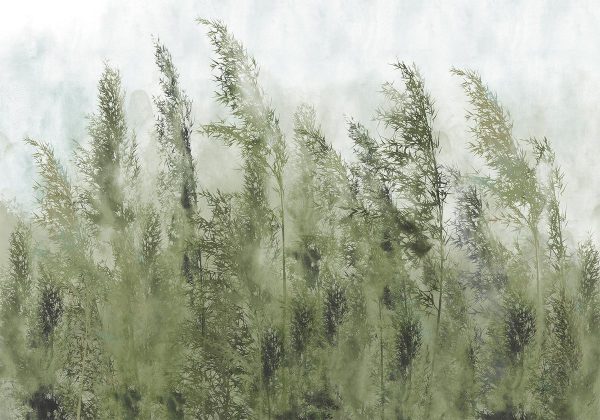 Wall Mural - Tall Grasses - Green