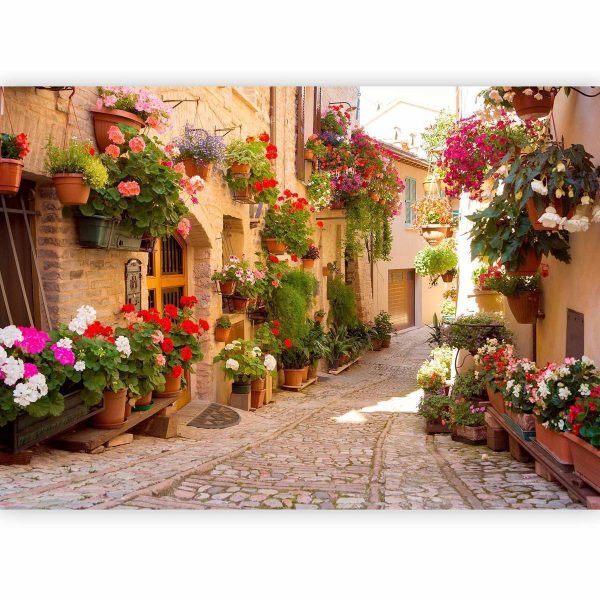 Wall Mural - The Alley in Spello (Italy)