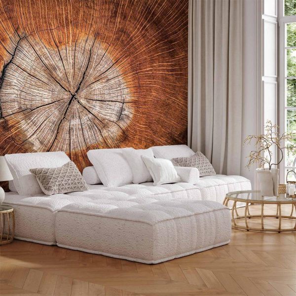 Wall Mural - The Soul of a Tree