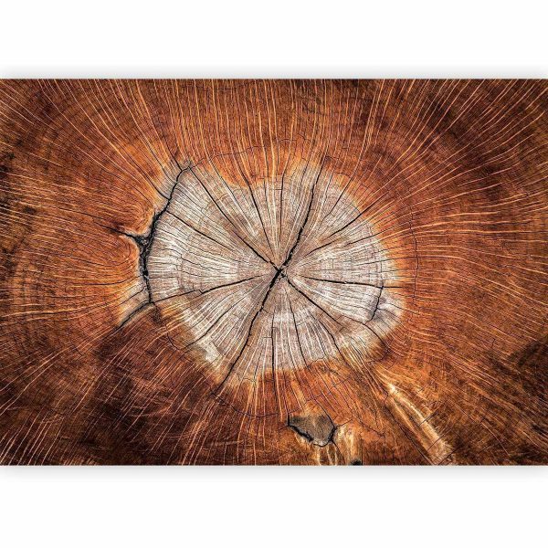 Wall Mural - The Soul of a Tree