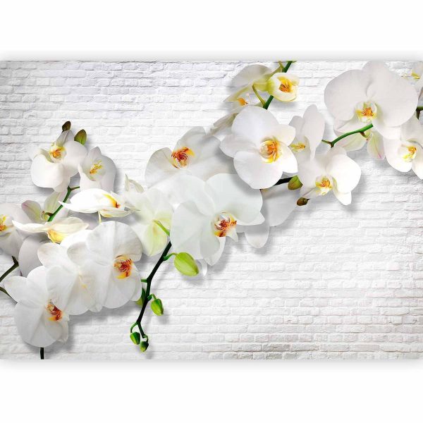 Wall Mural - The Urban Orchid
