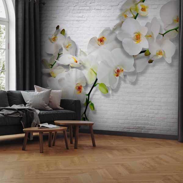 Wall Mural - The Urban Orchid