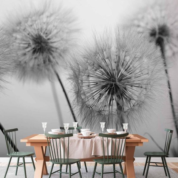 Wall Mural - Time for Dandelions - Second Variant - Image 2
