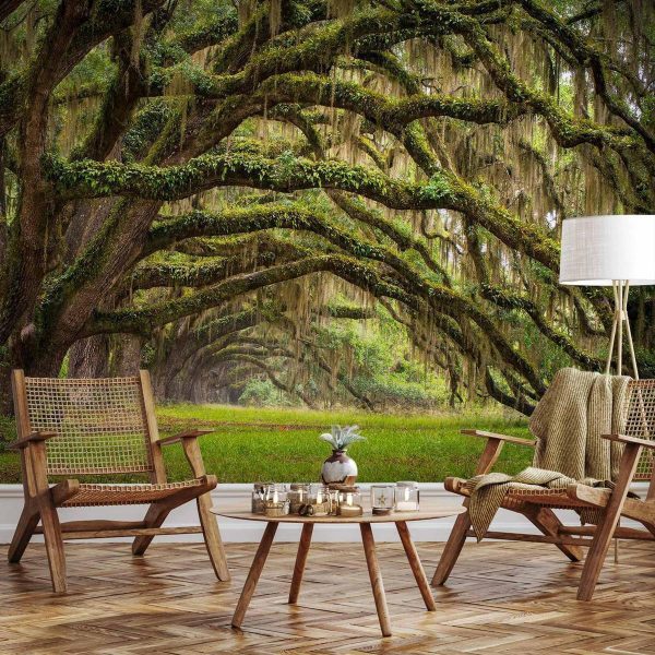 Wall Mural - Tree embrace