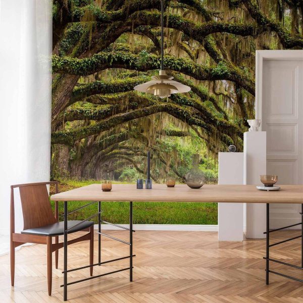 Wall Mural - Tree embrace