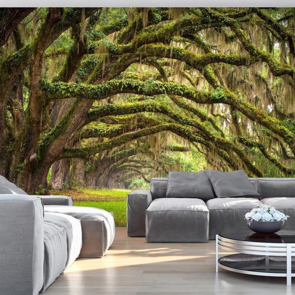 Wall Mural - Tree embrace