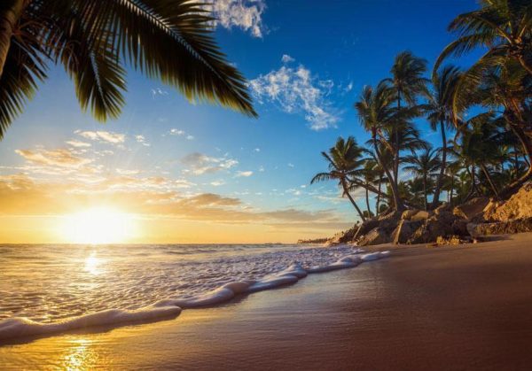 Wall Mural - Tropical Beach