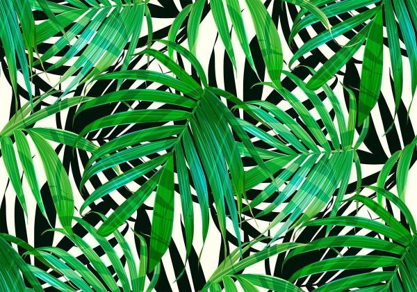 Wall Mural - Tropical Leaves