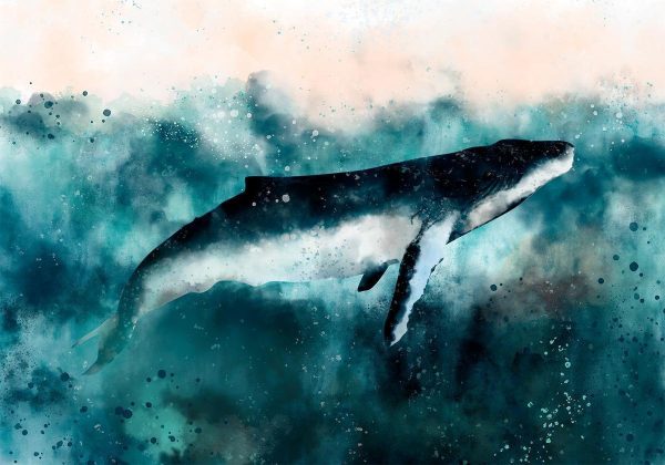 Wall Mural - Underwater Life
