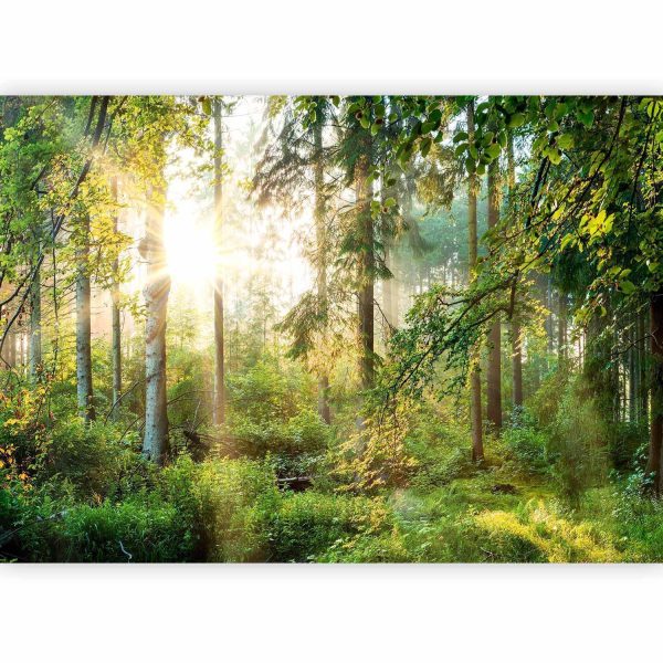 Wall Mural Wallpaper - Untamed Nature - Image 4