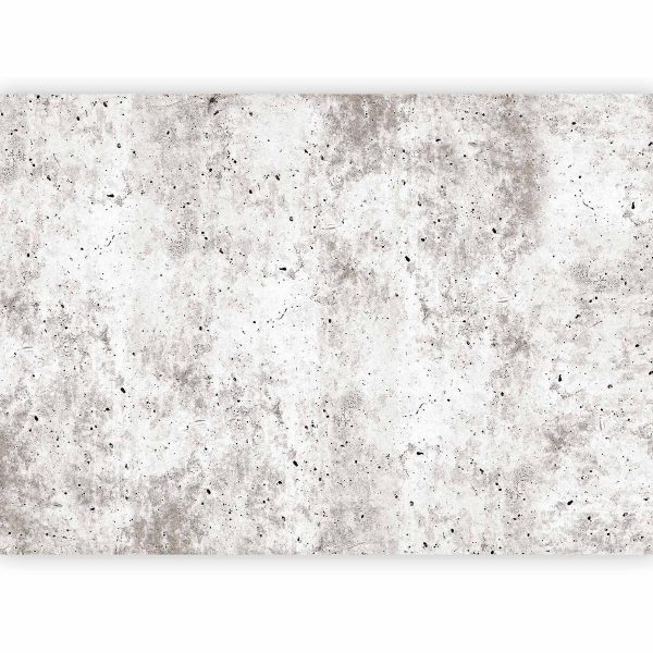 Wall Mural - Urban Style: Concrete