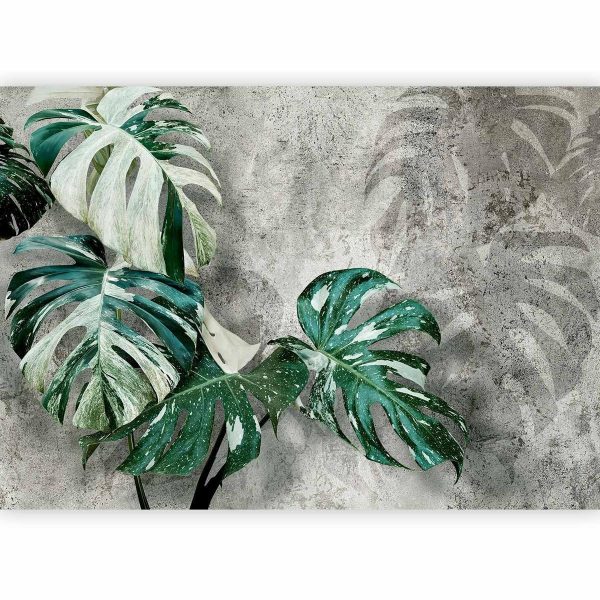 Wall Mural - Variegata