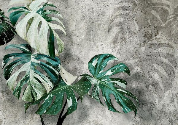 Wall Mural - Variegata