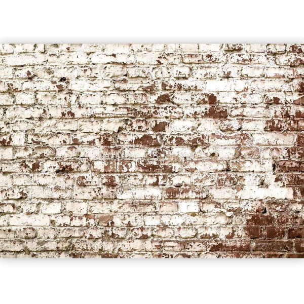 Wall Mural - Vestige of Time