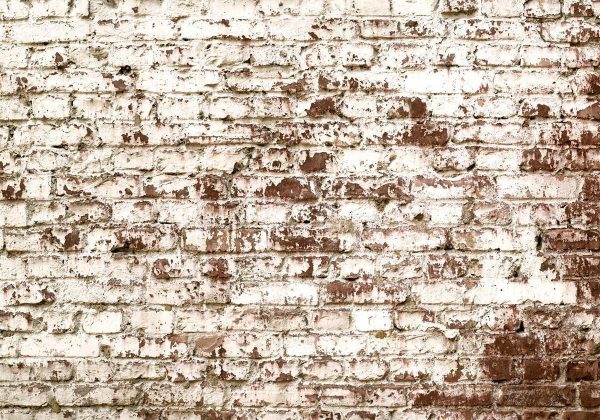 Wall Mural - Vestige of Time