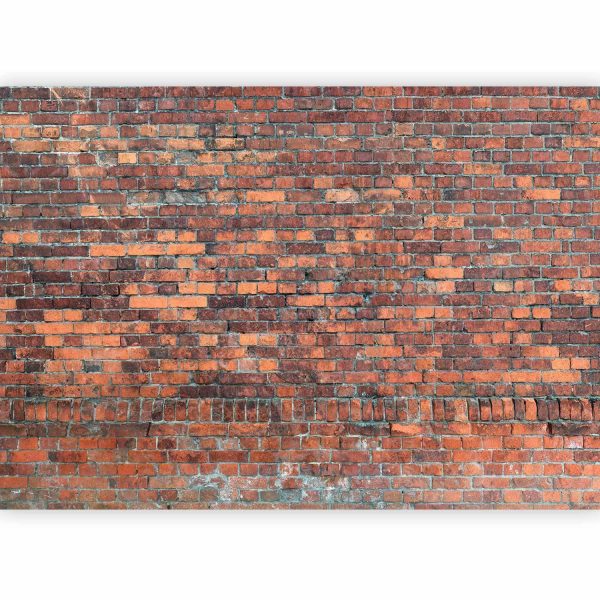 Wall Mural Wallpaper - Vintage Wall (Red Brick) - Image 5